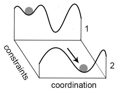 An attractor landscape