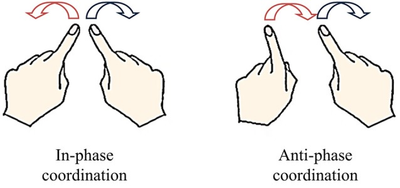 <a href='https://www.researchgate.net/figure/Stable-patterns-of-spontaneous-bimanual-coordination-The-in-phase-pattern-consists-in_fig1_263528890'>Bimanual coordination</a>